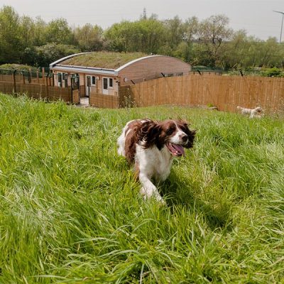 Dogs Trust Loughborough